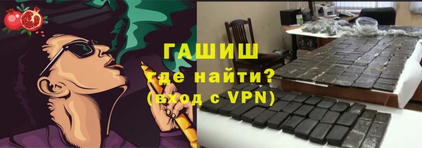 стаф Гусев