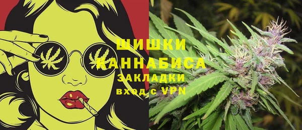 сатива Гусиноозёрск