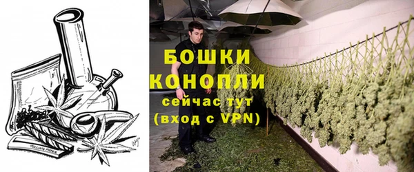spice Горняк