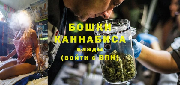 стаф Гусев