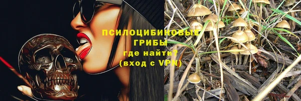 spice Горняк