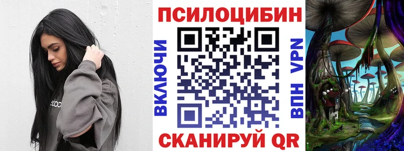 Псилоцибиновые грибы MAGIC MUSHROOMS  блэк спрут зеркало  Задонск 